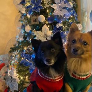 Meet your Posher, Edlyn